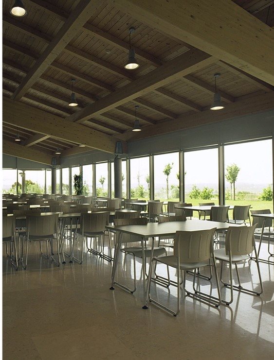 Immagine1 - Toyota 1(0)